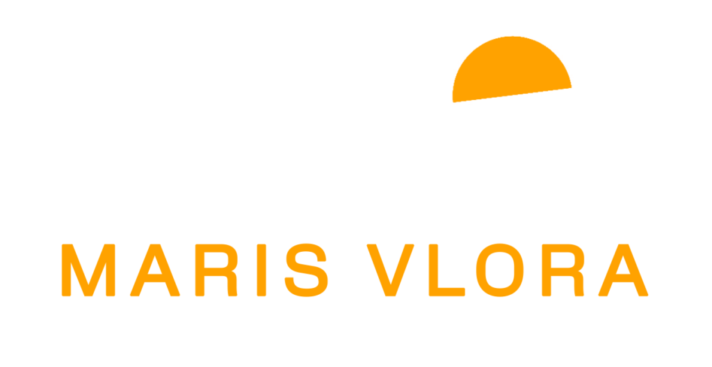 logo of the website boattoursvlore.com